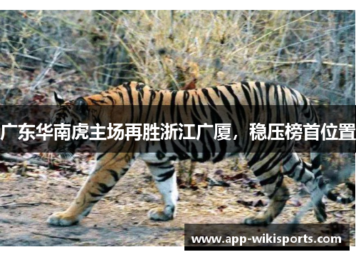 广东华南虎主场再胜浙江广厦，稳压榜首位置